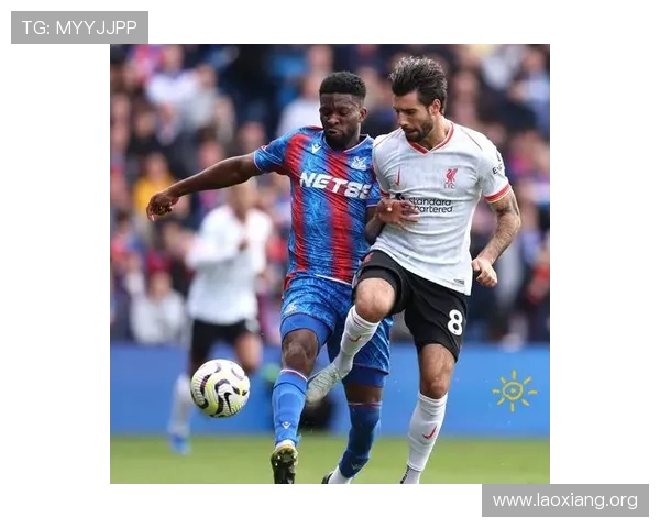 水晶宫足球队队员官网为球迷提供的专属互动平台与最新活动信息