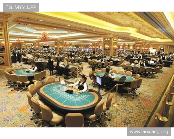 澳门博彩控股有限公司最新财报解读：盈利能力与市场前景展望