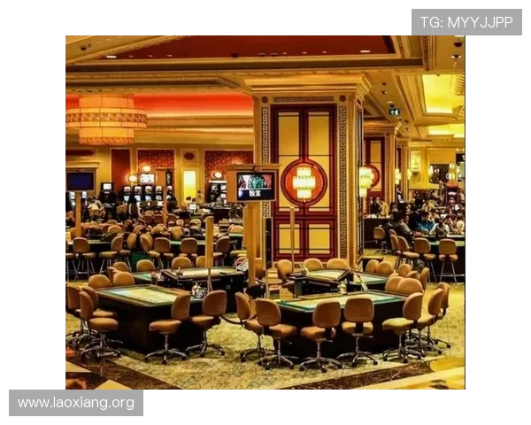 澳门各大赌场的娱乐项目全解析，满足不同玩家的多样化娱乐需求