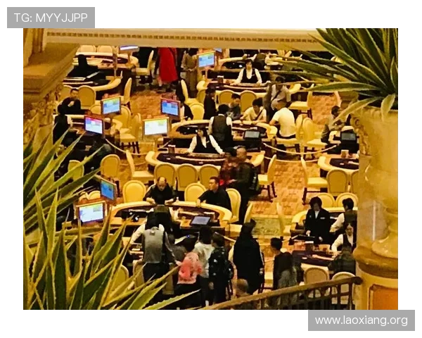 澳门汇彩网最新消息2024年官方公告及重要活动安排一览